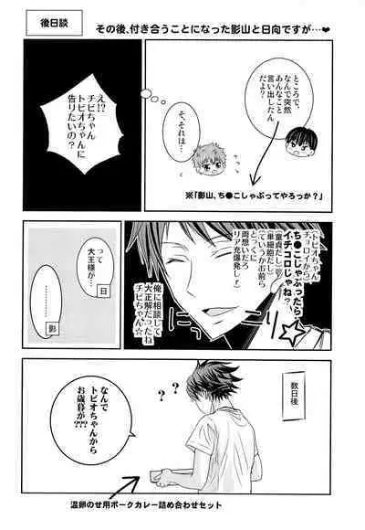 (SUPER COMIC CITY 23) [puniiyu] Hinata to Koi ni Ochiru Made— (Haikyuu!!)