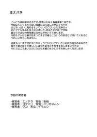 [Suzunaridou (Izumi Yukiru)] Gaichuu Higai Houkokusho File 2 (Flower Knight Girl) [Digital]