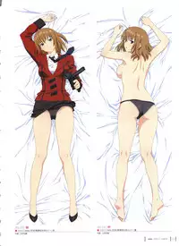 Aika Complete Fanbook