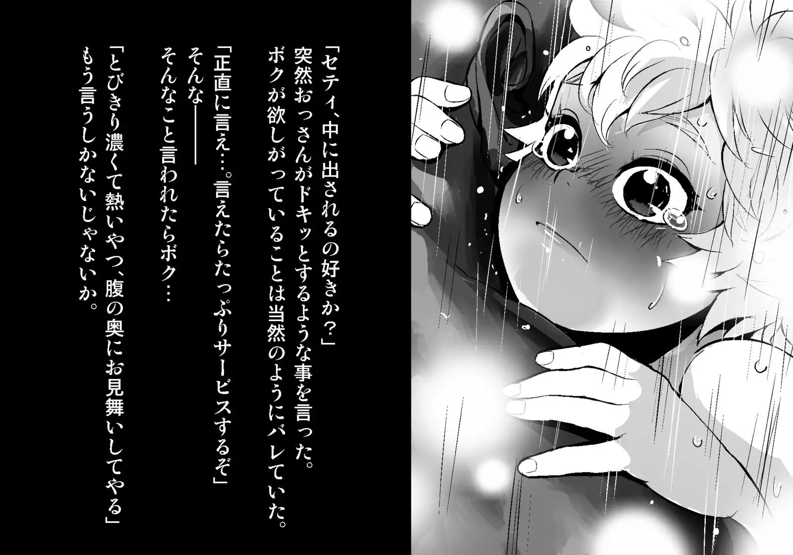 フェアリーセティ