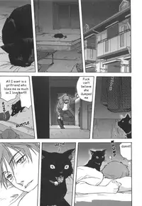 Black Cat Crossing [English] [Rewrite] [EZ Rewriter]
