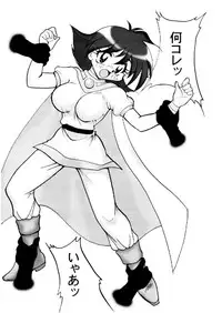 (C57) [Ginmomodou (Mita Satomi)] Slayers Adult 10 (Slayers)