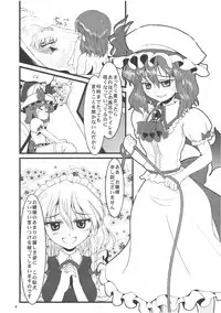(Reitaisai 8) [LeimkissA (Nekohane Ryou)] Reversal Position (Touhou Project)