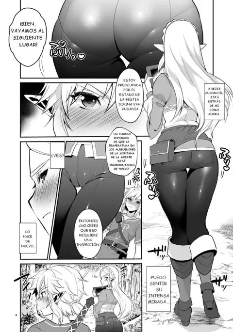 Hyrule Hanei no Tame no Katsudou! | ¡Actividades para el futuro de Hyrule!