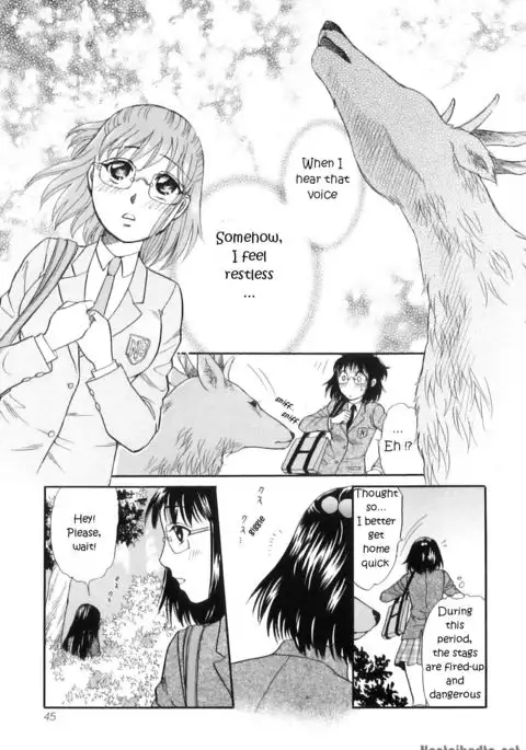 Divine Deer Forest ~Girls' Whereabouts~