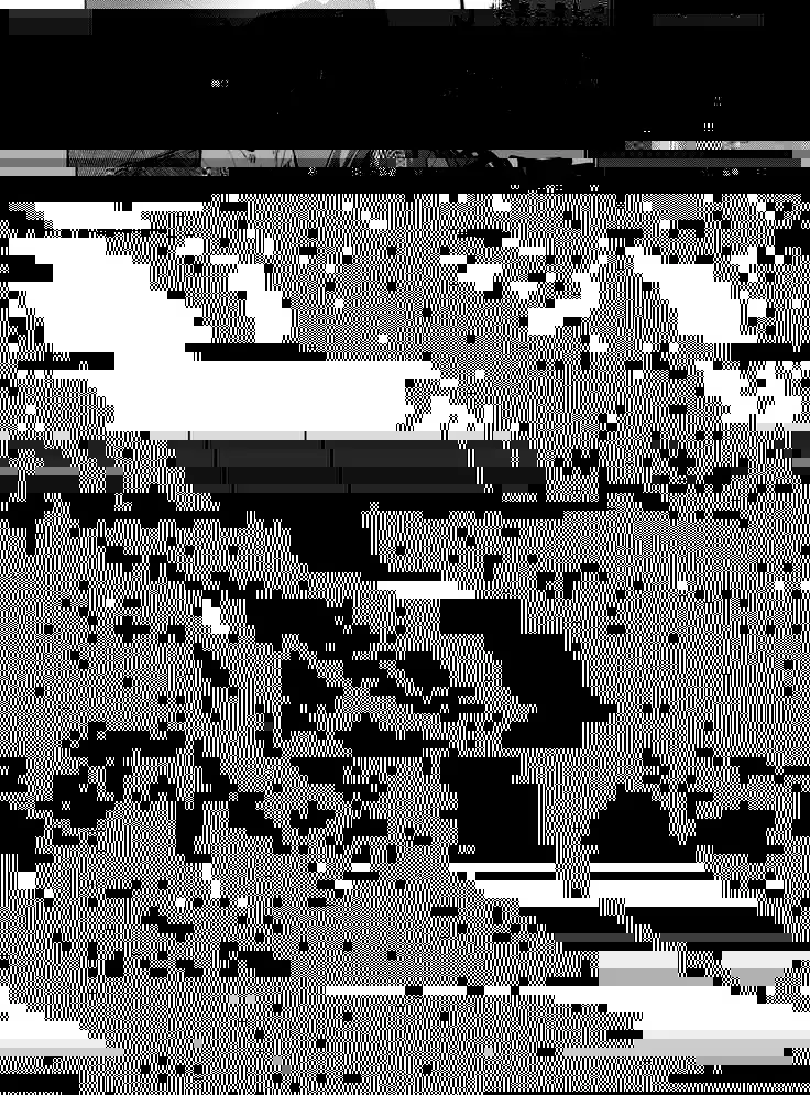 Tomodachi ga TS Shitara Kanojo ni Suru shika Nai