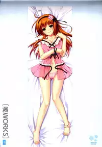 Dakimakura Cover Gashuu Bishoujo Game Hen