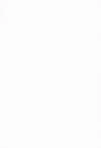 (COMIC1☆8) [Funi Funi Lab (Tamagoro)] CHiBiKKO BiTCH XY 2 (Pokemon) [English] [Kusanyagi]