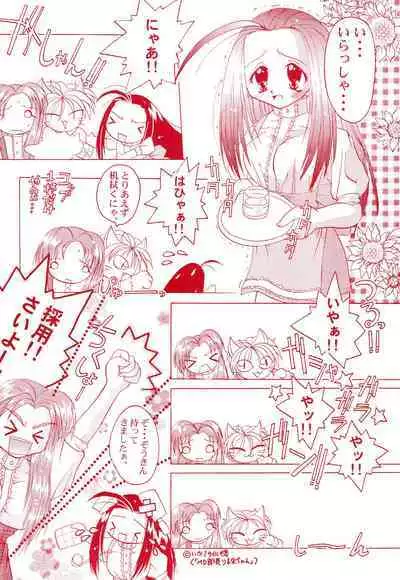 Get Sweet ”A” Low Phone Anna Mirrors ORIGINAL STORY