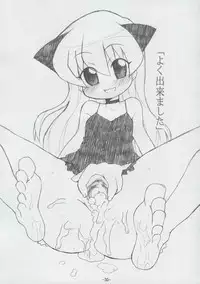 (C70) [BONUSSHOP (Hiraki Naoru)] DAY AFTER DAY (Pani Poni Dash)