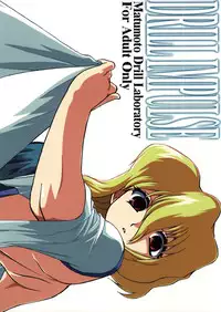 (C67) [Matsumoto Drill Kenkyuujo (NAGANOON, Nasu)] DRILL IMPULSE (Mobile Suit Gundam SEED)