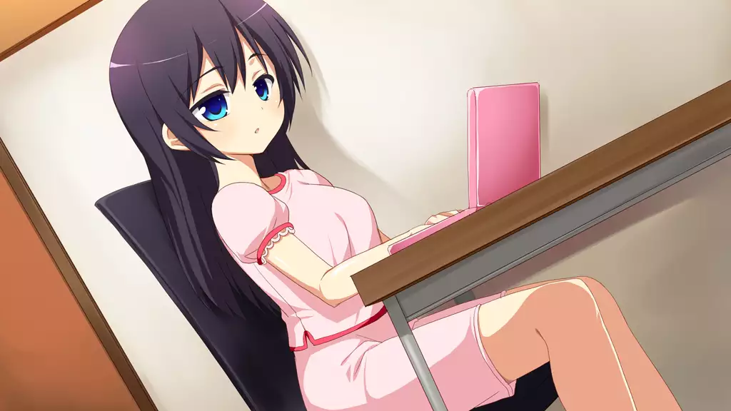 Imouto Tousatsu Kiroku