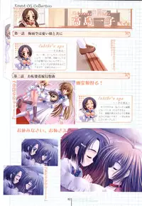 Otome wa boku ni koi shiteru Visual Fanbook (Otoboku)