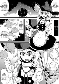 (C81) [Narumiya (Narumiya)] Tama Tama Shippo (Touhou Project) [English] [biribiri]