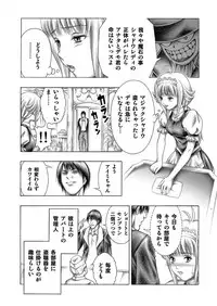 [Seishindou (Seishinja)] Miwaku no Shadow (Shadow Lady) [Digital]