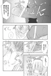 (C67) [Dr. VERMILION (Petenshi)] Bird Cage (Ragnarok Online)