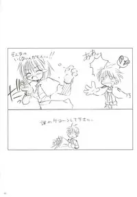 [観月堂] 電撃ラグナ (RO)