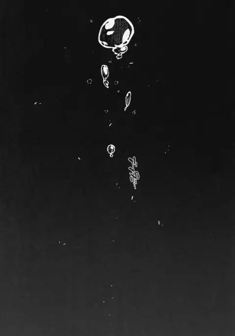 Chaldea Soapland ~Nightingale no Baai~