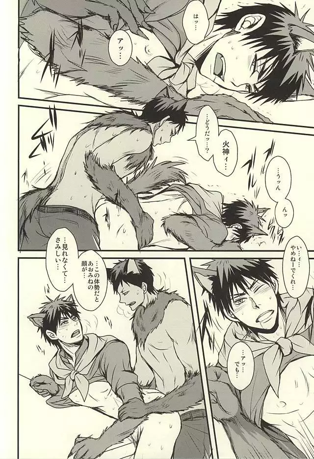 coyote,colored darkness