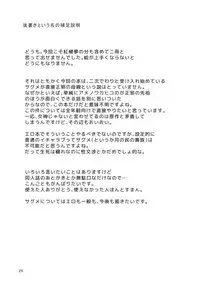 (C89) [Tetsu no Otoshigo (Chirorian)] Sagi no Koe Hibiku (Touhou Project)