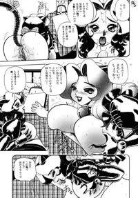 [Wingbird] - Kontoma Paradise