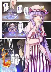 (Reitaisai 11) [Shirokurousa (Sugiyuu)] Honey x Honey (Touhou Project)