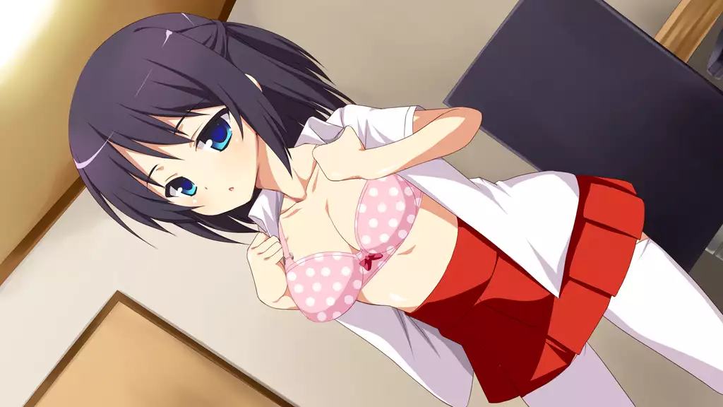 Imouto Tousatsu Kiroku