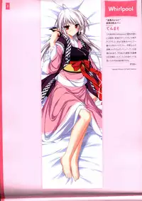 Dakimakura Cover Gashuu Bishoujo Game Hen