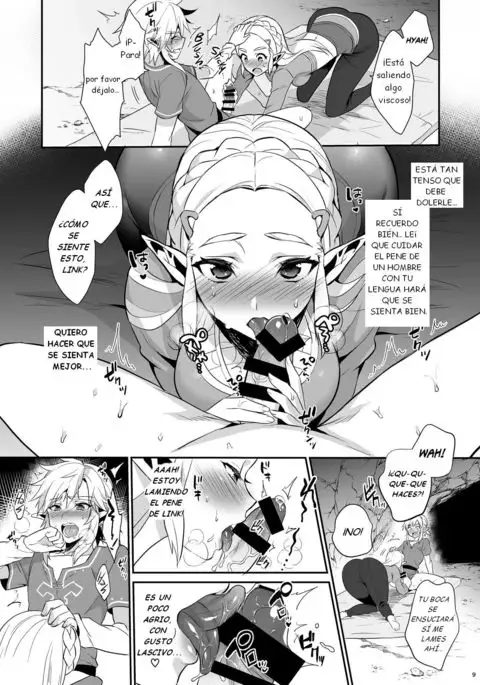 Hyrule Hanei no Tame no Katsudou! | ¡Actividades para el futuro de Hyrule!