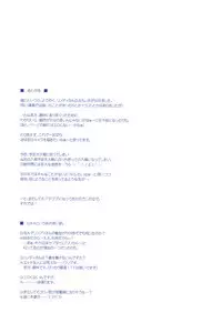 (C74) [ELHEART'S (Ibuki Pon)] ANOTHER FRONTIER 02 Magical Girl Lyrical Lindy-san #03 (Magical Girl Lyrical Nanoha StrikerS)