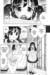 [Atori K] Watashi wa Maid - I am a maid Ch. 1-3 [English] [biribiri + desudesu]