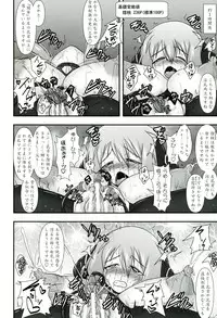 (C81) [FONETRASON (Ryutou)] Shield Knight Elsain Vol.11 "NETHER LABORATORY"