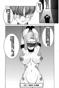 Taima no Reikoku ~Zettou no Kaizou Inju Choukyou~