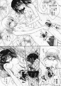 Comic Papipo 2004-10