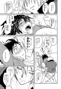 [CROCODILE-Ave. (Gangstar Yoshio)] Megamix Gravitation Sakana (Gravitation)