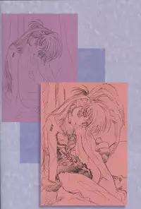 (C75) [HenReiKai (Kawarajima Koh)] SEED ANOTHER CENTURY D.E 7 (Gundam SEED)