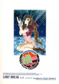 (C54) [Tachibana Seven (Tachibana Seven, Nakado)] Limit Break Lv.2 (Final Fantasy VII)