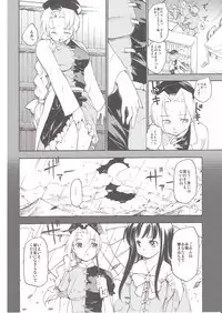 (C70) [Paranoia Cat (Fujiwara Shunichi)] Touhou Ukiyo Emaki Yagokoro Eirin (Touhou Project)