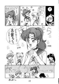 [Himitsu Kessha Tsuki to Yousei] Re-Flesh! (Sailor Moon)