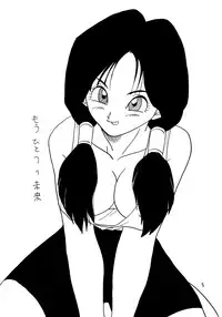 (C48) [Chirigami Goya, Fusuma Goten (Shouji Hariko)] YYY (Dragon Ball Z)