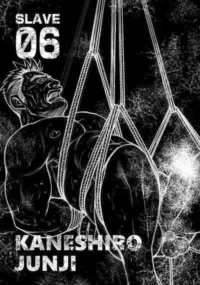 Okinawa Slave Island