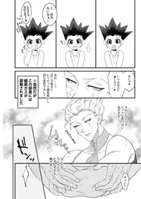 [Shibainu Lab (Hori)] HisoGon_Kikou Data Tsumeawase (Hunter x Hunter) [Digital]