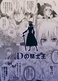 (C81) [Fukazume Kizoku (Akai Mato)] D no Kishiou (Fate/Zero)