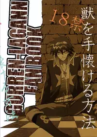 [Mame Teishoku (Tatewaki Mame)] Kemono o Tenazukeru Houhou (Tengen Toppa Gurren Lagann) [English] [Euphoria Scans]