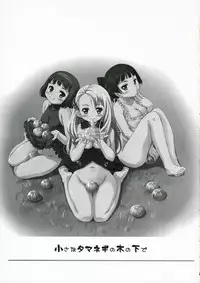 (Maiden's Garden) [Ngmyu (Tohgarashi Hideyu)] Chiisa na Tamanegi no Kinoshita de (Simoun)