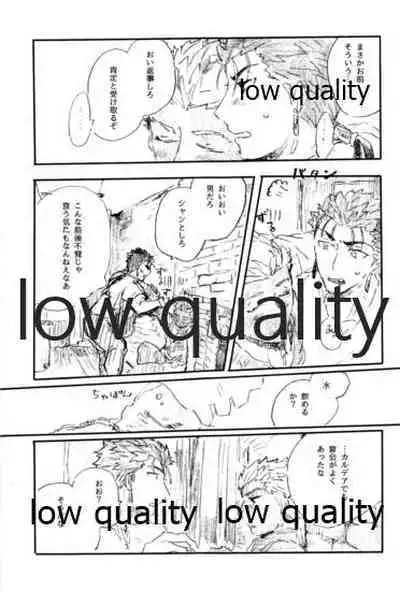 (Dai 11-ji ROOT4to5) [Karmin (Hozumi)] Ano Suiheisen no Mukou (Fate/Grand Order)