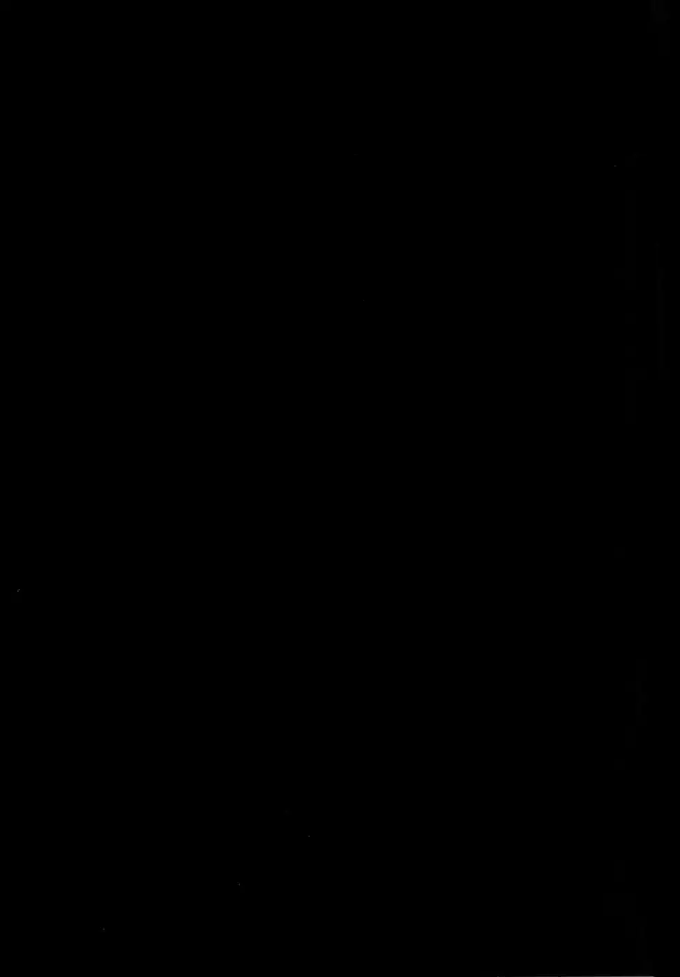 Cross Play CirCra ♂chan 2