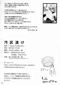 (C76) [Shinnihon Pepsitou (St.germain-sal)] Gang the Bandits (Queen's Blade)