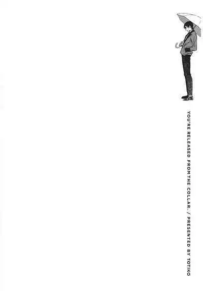 Chihireru Kubiwa | 碎裂的项圈