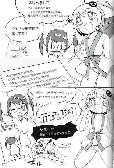 Tsurupeta Kenkyuu Houkokusho 011